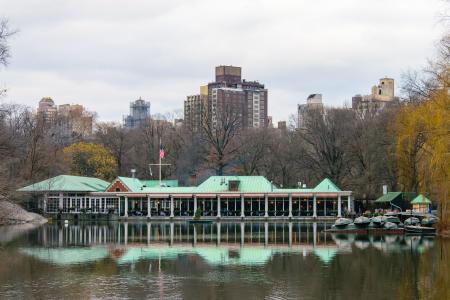 centralpark, 曼哈顿, 纽约, 纽约, 秋天, 秋天, 冬天