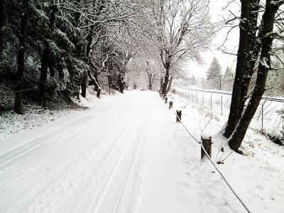 偏僻的路, 雪, 乡间小路, 天气, 冻结, 车胎, 火车轨道