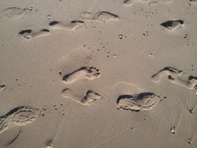 海滩, 沙子, 徒步旅行, 脚步声, 跟踪