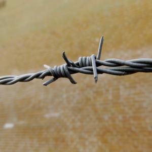 带刺的铁丝网, 障碍, 电线, 金属, 安全, 被囚禁, 分界