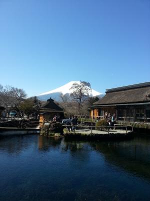 富士, 日本, 旅行, 山, 景观, 自然, mt