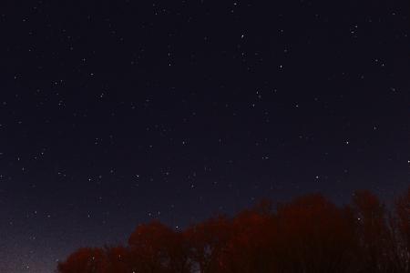 自然, 树木, 晚上, 天空, 星星, 天文学, 明星-空间