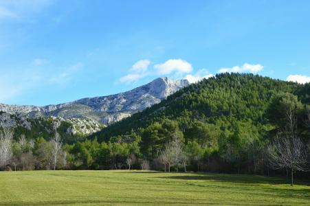 山, 法国, 在普罗旺斯的 aix, 圣洁胜利, 景观, 夏季, 绿色自然