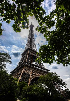 埃菲尔铁塔, 巴黎, 纪念碑, 叶子, 白天, 法国