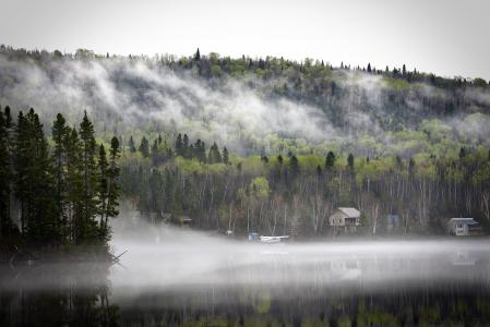 景观, 晨雾, 自然, 山, 树木, 春天, 湖