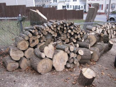 木材, 木头堆, 木柴, 树