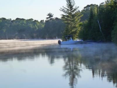 湖, 雾, 平静, 小船, 早上, 森林, 松树