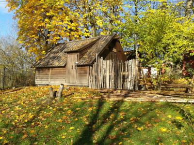 木制, 小屋, 伍兹, 森林, 秋天, 户外, 生活方式