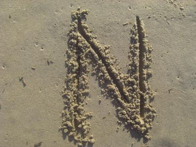 字母 n, 沙子, 棍子, 海滩, 字母表