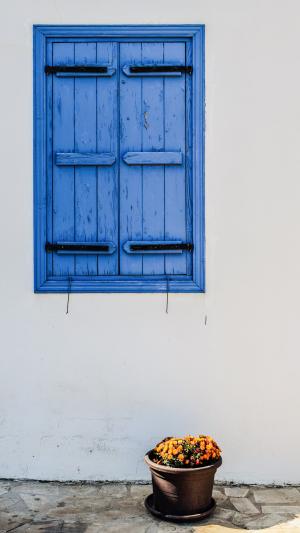 窗口, 木制, 老, 建筑, 传统, 蓝色, 花盆