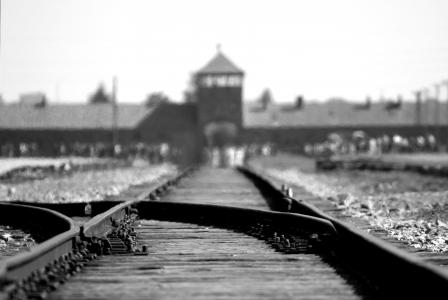 灰度, 摄影, 铁路, 克, 奥斯维辛集中营, 大屠杀, 运输