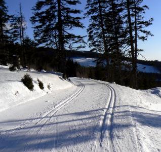 雪, 冬天, 足迹, 滑雪板, 树木, panoramaloipe