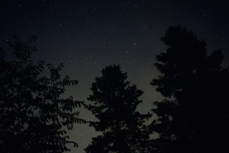 星星, 晚上, 天空, 景观, 银河, 树木, 户外