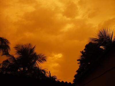 日落, 重新天空, 自然, 棕榈树, 天空, 热带气候