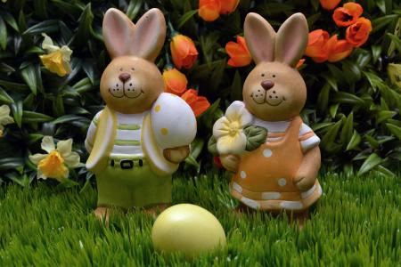 兔子, 复活节, 鸡蛋, 黄色, 花, 春天, 草