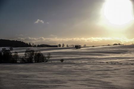 冬天, 太阳, 回光, 雪, 自然, 弗罗斯特, 树木