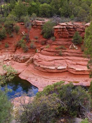 塞多纳, 亚利桑那州, 红色, 岩石, 河, 水, 景观