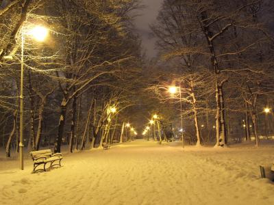 公园, 冬天, 晚上, 灯笼, 雪, 光, 垫片