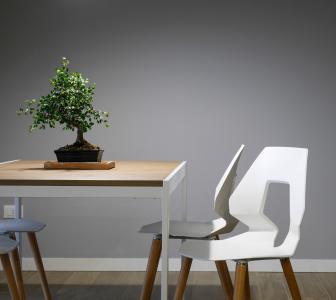 内政, 设计, 表, 椅子, 家具, 绿色, 植物