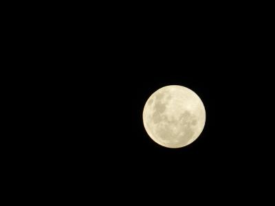 满月, 晚上, 自然, 天文