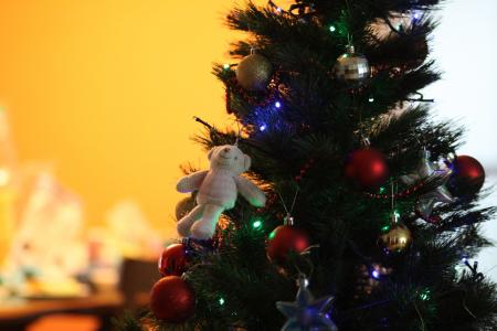 圣诞节, 树, 熊, 装饰, 庆祝活动, 圣诞树, 假日