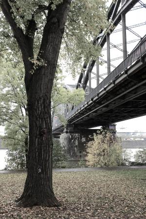铁路桥梁, 桥梁, 钢, 建筑, 法兰克福, 桥-男人作结构, 树