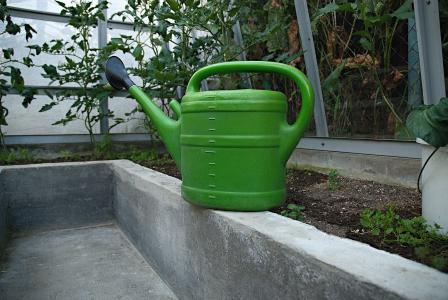 自动喷水灭火, 壶, 温室, 浇水, 西红柿, 日落, 培养