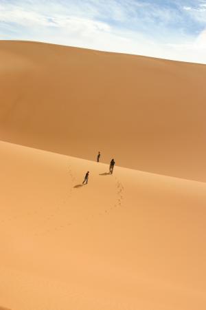 沙漠, 撒哈拉沙漠, duna