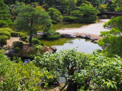 禅宗, 日本, 花园, 池塘, 叶子, 亚洲, 母马