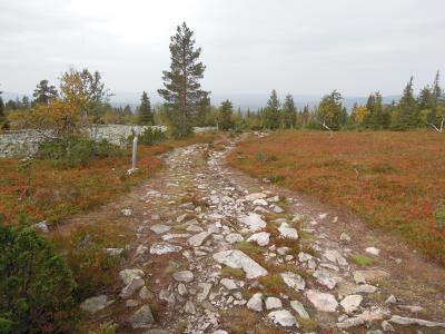 拉普兰, 芬兰语, 拉普兰, 自然, 秋天, 景观, 下跌