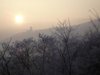 城堡, 阿尔萨斯, 孚日, 太阳, 雾, 弥漫, 冬天