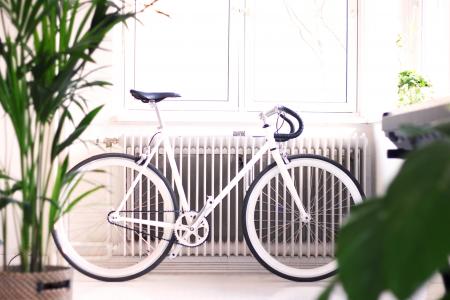建筑, 室内, 内政, 绿色, 植物, 自行车, 自行车
