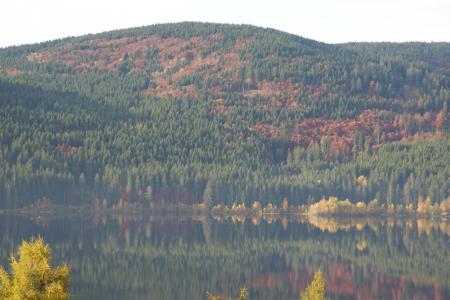 秋天, 湖, 黑色的森林, schluchsee, 镜像