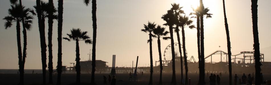 海滩, 现场, 剪影, 棕榈树, 圣莫尼卡, 码头, 加利福尼亚州