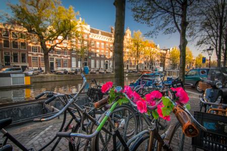 阿姆斯特丹, 通道, 荷兰, 水道, 荷兰语, 春天, 视图