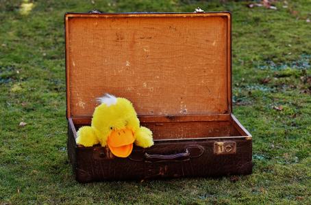 行李, 古董, 鸭, 有趣, 很好奇, 皮革, 旧行李箱