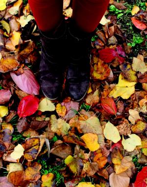 叶子, 秋天, 双腿, 双脚, 普拉托