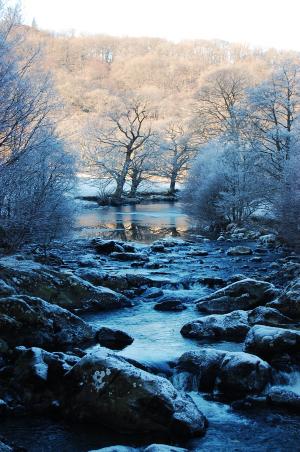 景观, 雪, 冰, 蓝色, 白色, 树木, 弗罗斯特