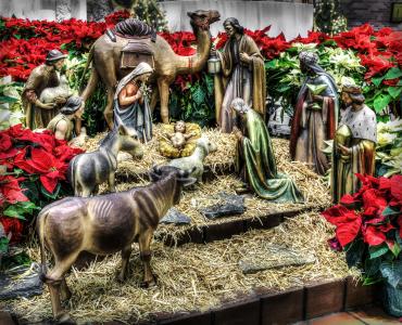 诞生, 马槽, 圣诞节, 耶稣, 宗教, 出生, 基督