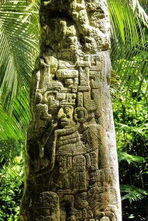 危地马拉, 木棉, sayaxche, 石头, 玛雅人, 雨林, 废墟