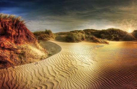 沙丘, 海滩, 北海, 海, 沙子, 草, 丹麦