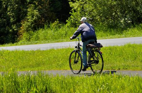 骑自行车的人, 农村, 通勤, 道路, 循环路径, 田园, 初夏