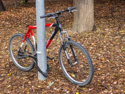 自行车, 树, 自行车, 老, 骑自行车的人, 挂锁, 秋天