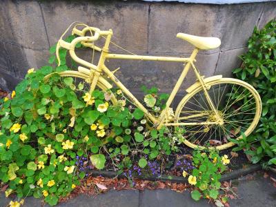 自行车, 黄色, 老, 车轮, 自行车, 花, 叶子