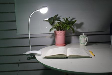 台灯, 灯, 学习, 打开书, 芦苇, 深夜, 这项研究