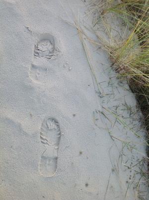 脚印, 沙子, 沙海中的足迹, 沙丘
