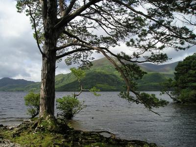 爱尔兰, 湖滨湖, 神秘, 自然