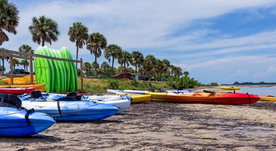 皮划艇, 冲浪, 海滩, 小船, 娱乐, 棕榈树, 海边