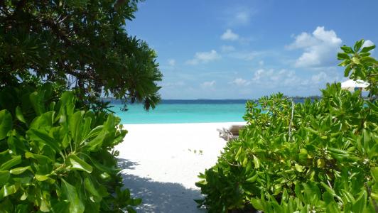 马尔代夫, laamu, 六感觉, 天堂海滩