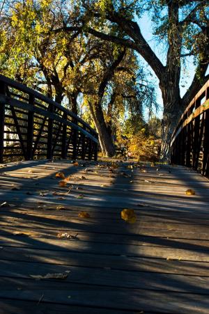 桥梁, 秋天, 秋天, 自然, 景观, 叶子, 公园